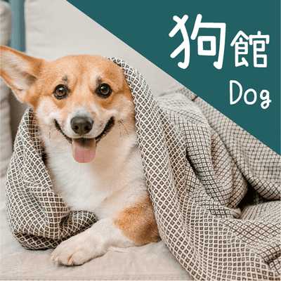小紅球飼料
