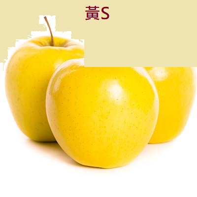 BannerB-3