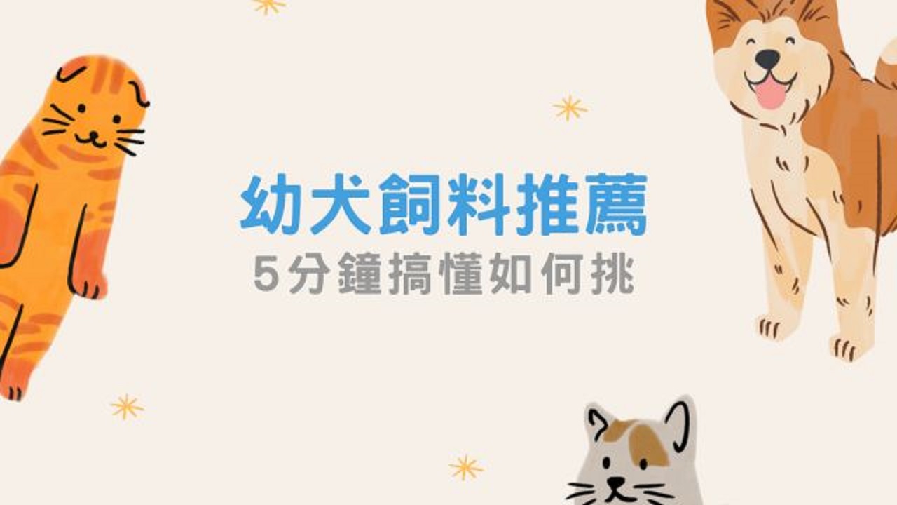 幼犬的照護餵食其實有很多細節要注意，尤其是幼犬的成長階段，比起其他年齡的狗狗，需要更多的營養。如何挑選適合家中小寶貝的飼料？餵食上又有什麼注意事項？網羅多家不同品牌飼料評選，幫助毛爸媽們挑選適合的幼犬