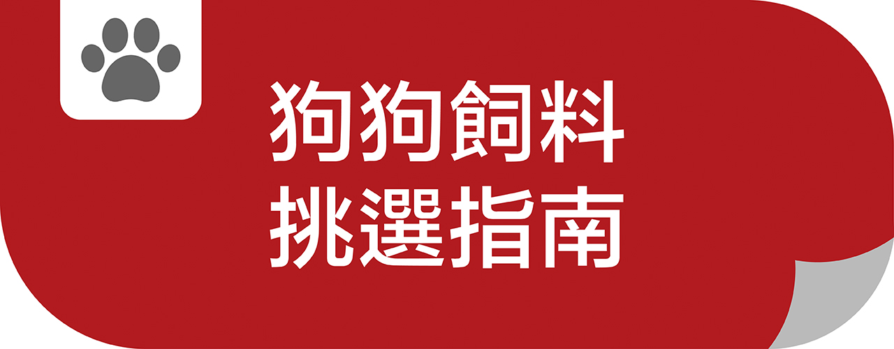成幼犬、熟齡犬，各種類型狗狗飼料挑選指南一次看，幫助您挑選出最適合的飼料。