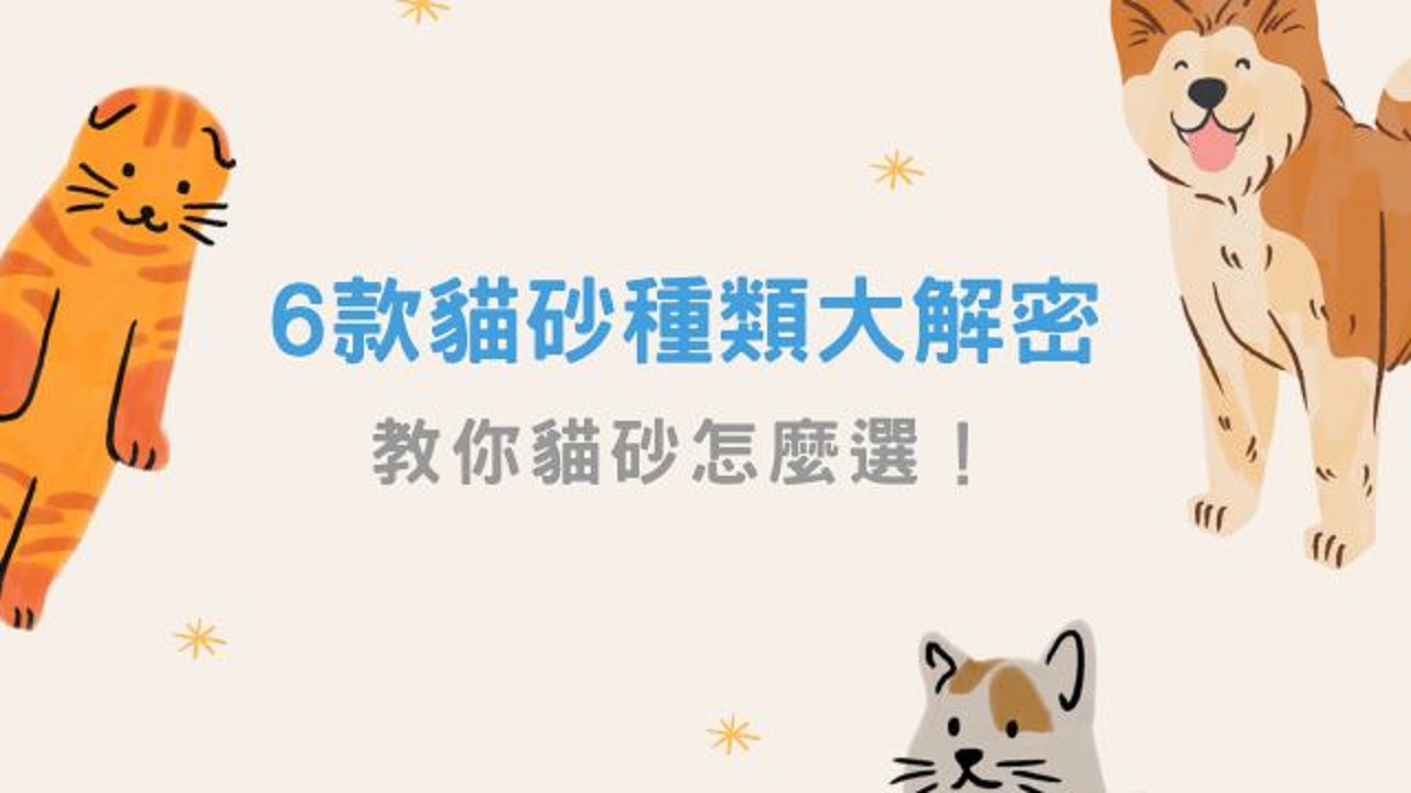 貓砂種類非常多，每一款特性都不一樣，鏟屎官們肯定常常陷入貓砂選擇困難。本篇整理6款市面上常見貓砂種類——礦砂、豆腐砂、松木砂、水晶砂、紙砂、木薯砂優缺點，教你怎麼選出最適合的貓砂。
