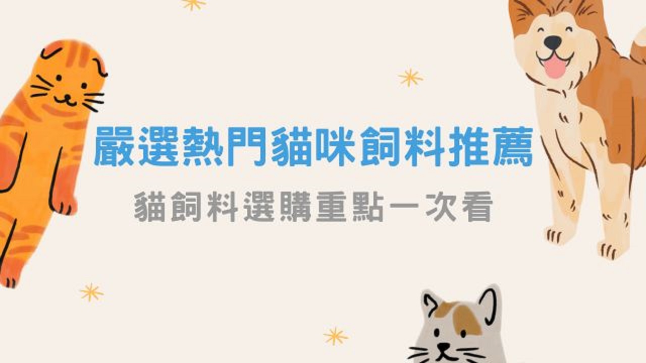 選購貓飼料時應著重其肉類蛋白質含量、低碳水、鈣磷比等對貓咪營養素有直接影響要點，接著針對適口性、年齡進行選購。本文加碼整理各年齡層貓咪餵食重點及常見問題，提供最全面的貓飼料餵食指南。