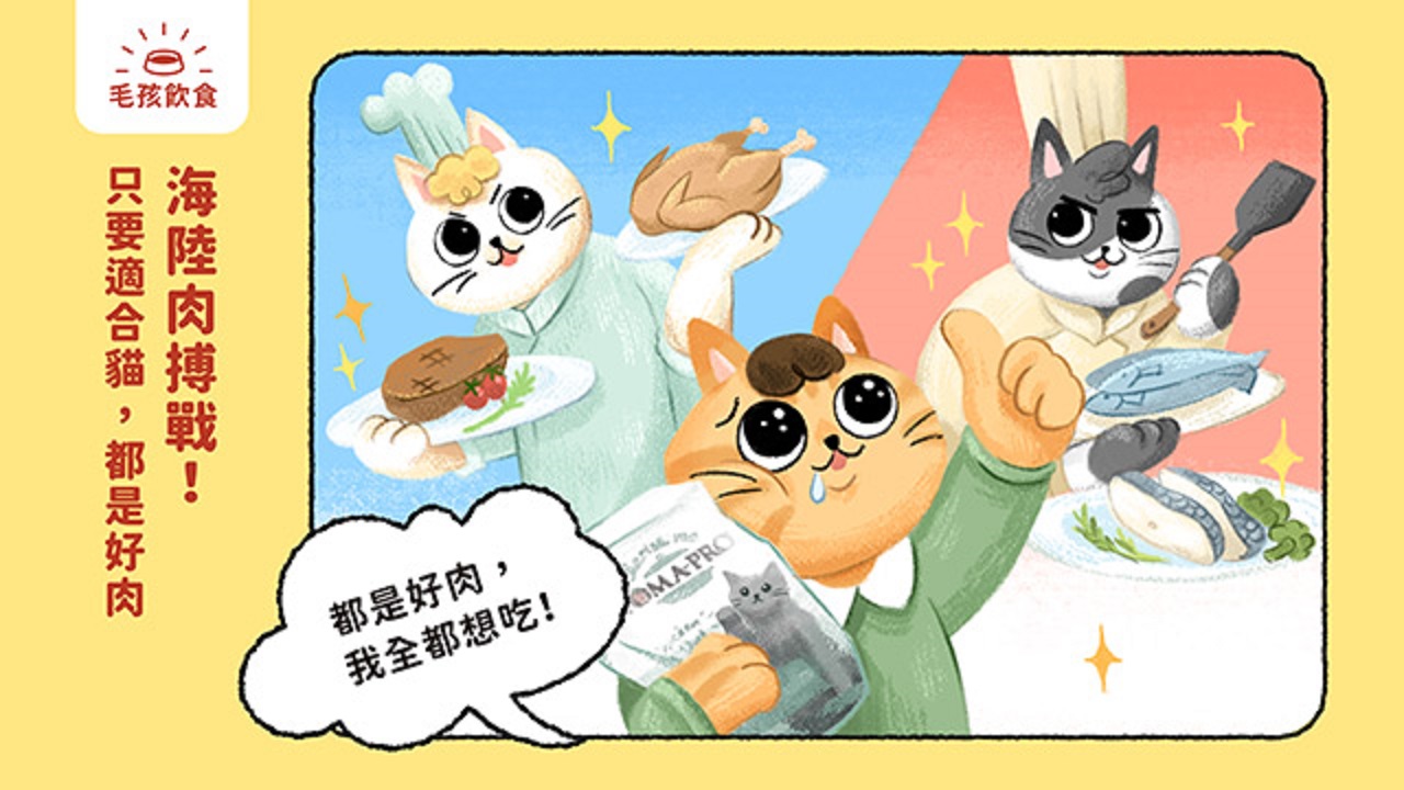 貓咪可以吃什麼樣的肉肉？是鮮味十足的魚肉，還是肉質軟嫩的禽肉？無論是海味或是陸味，只要是適合貓咪食用的優質蛋白質，並提供牠們所需的營養，都是好肉！