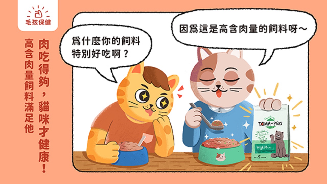 「肉食性動物」的貓咪，對蛋白質的要求特別高，貓飼主們呀，為貓咪選飼料時，不單只是依照貓咪年紀、口味進行選購，蛋白質的含量及成分是否符合貓咪所需，也是必須了解的！