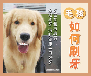 寵物刷牙必看資訊!