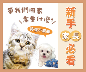 毛孩新手家長必看!! 馬上成為稱職毛爸媽