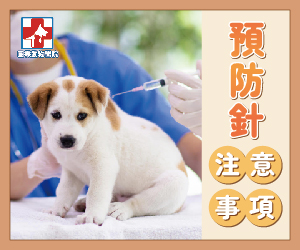 貓狗預防針，你懂多少呢?