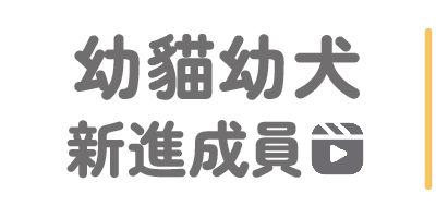 看更多新進的幼貓幼犬 毛孩寵物
