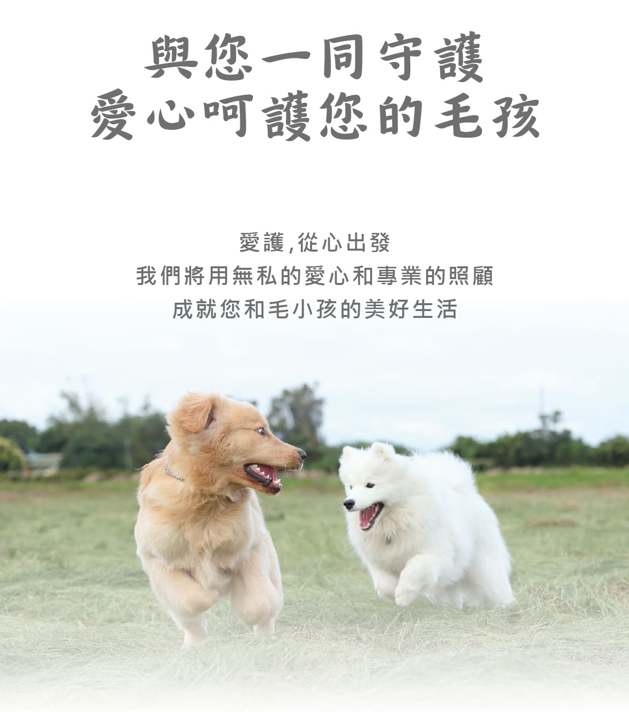 毛孩們的健康 就讓中圓寵物家族來守護