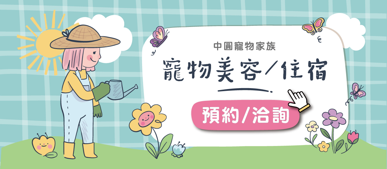 寵物美容,寵物住宿,寵物洗澡