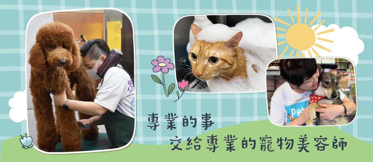 寵物美容,寵物住宿,寵物洗澡