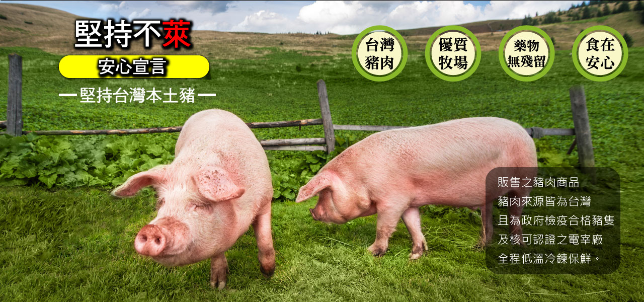 堅持台灣豬肉不來豬-氣炸人生