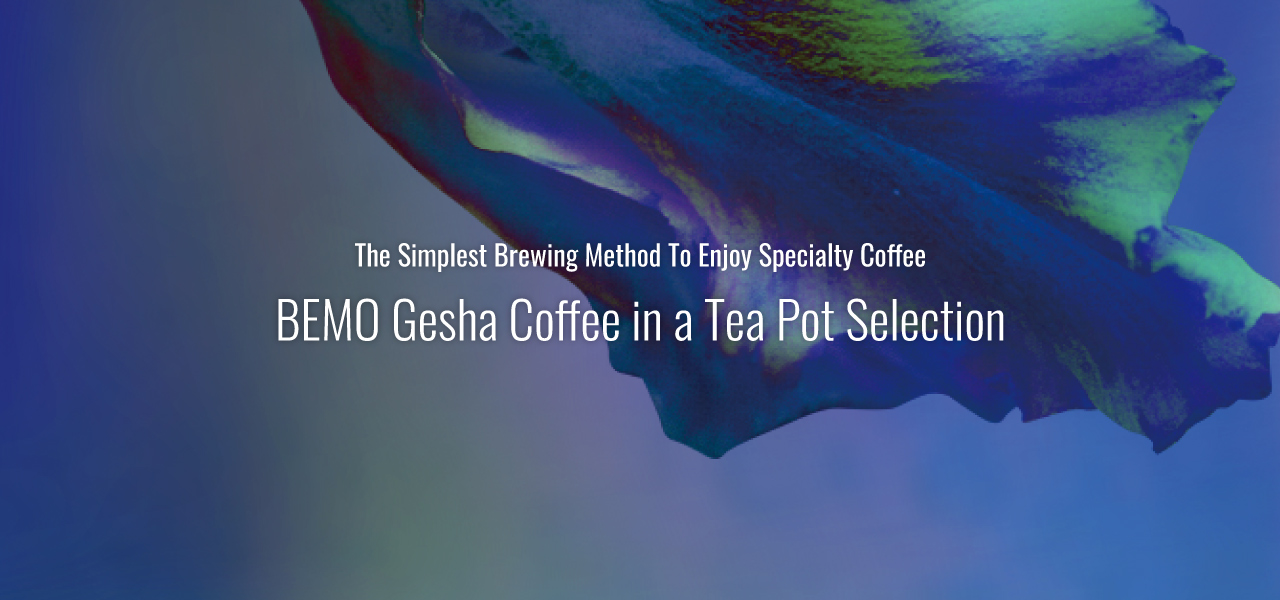 Gesha coffee