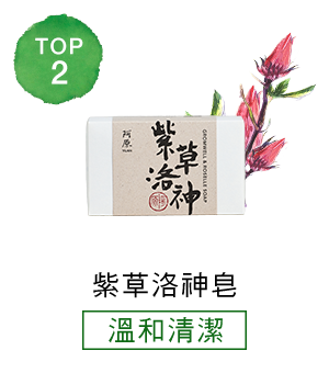 TOP_紫草洛神