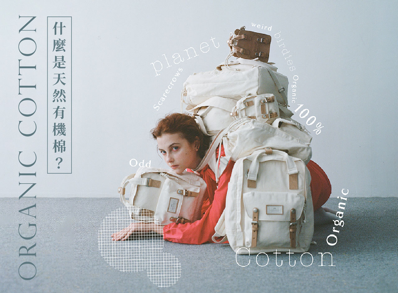 天然有機棉