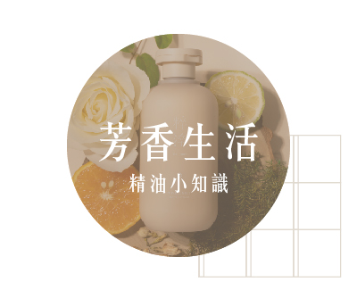 芳香生活,知識,精油知識