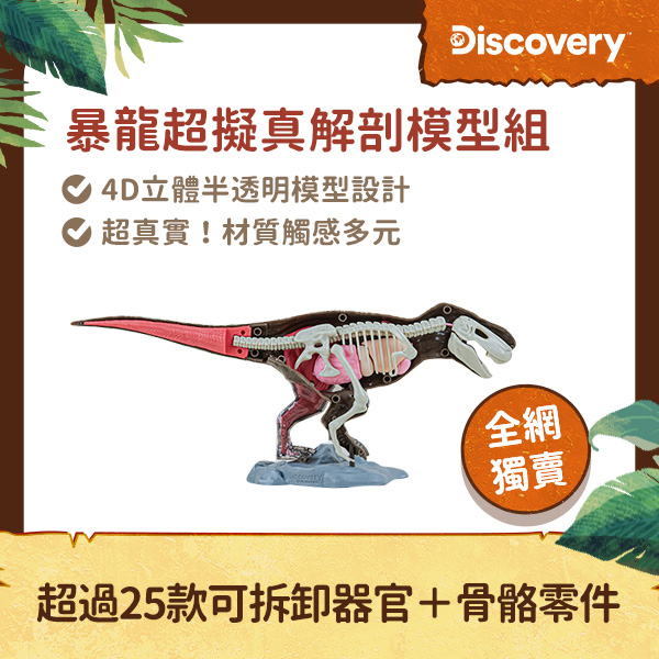恐龍展_主打品_discovery暴龍