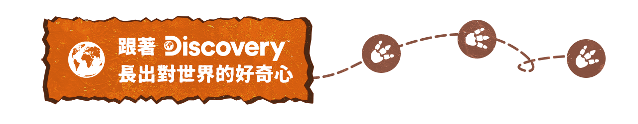 恐龍展_圖標_discovery集合頁