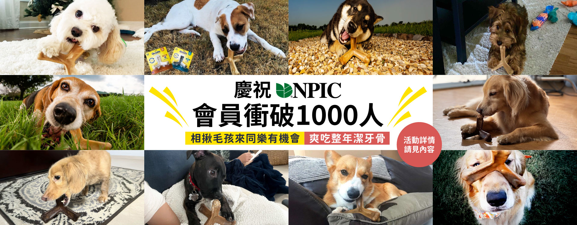 PO圖搶好康