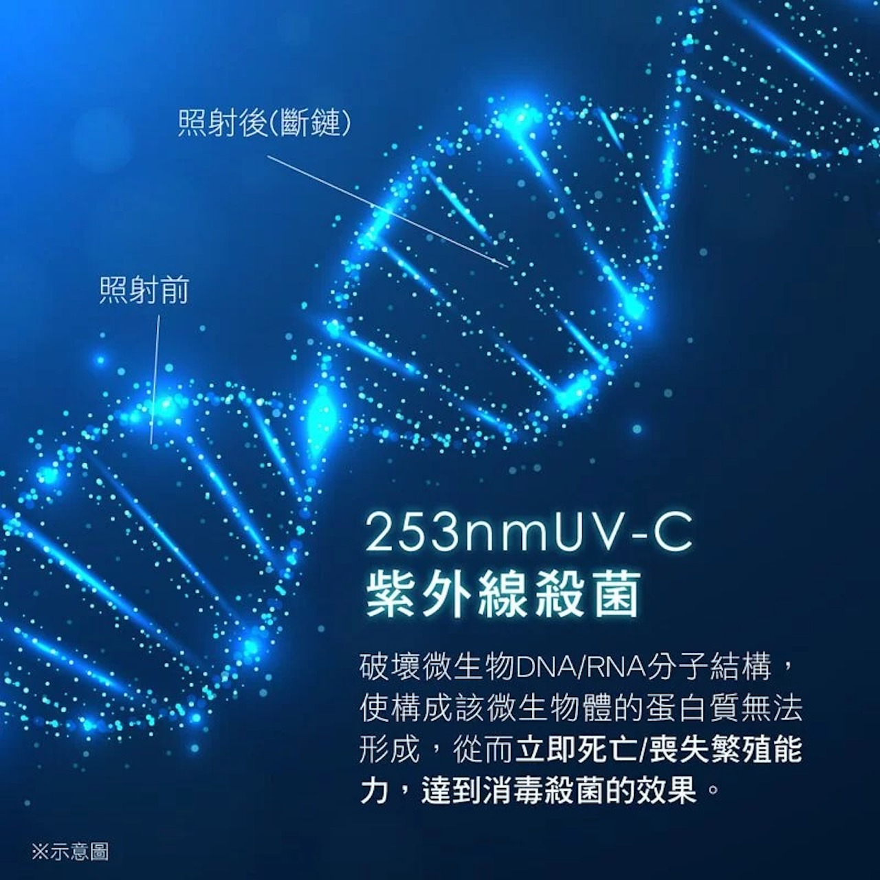 UVC殺菌原理
