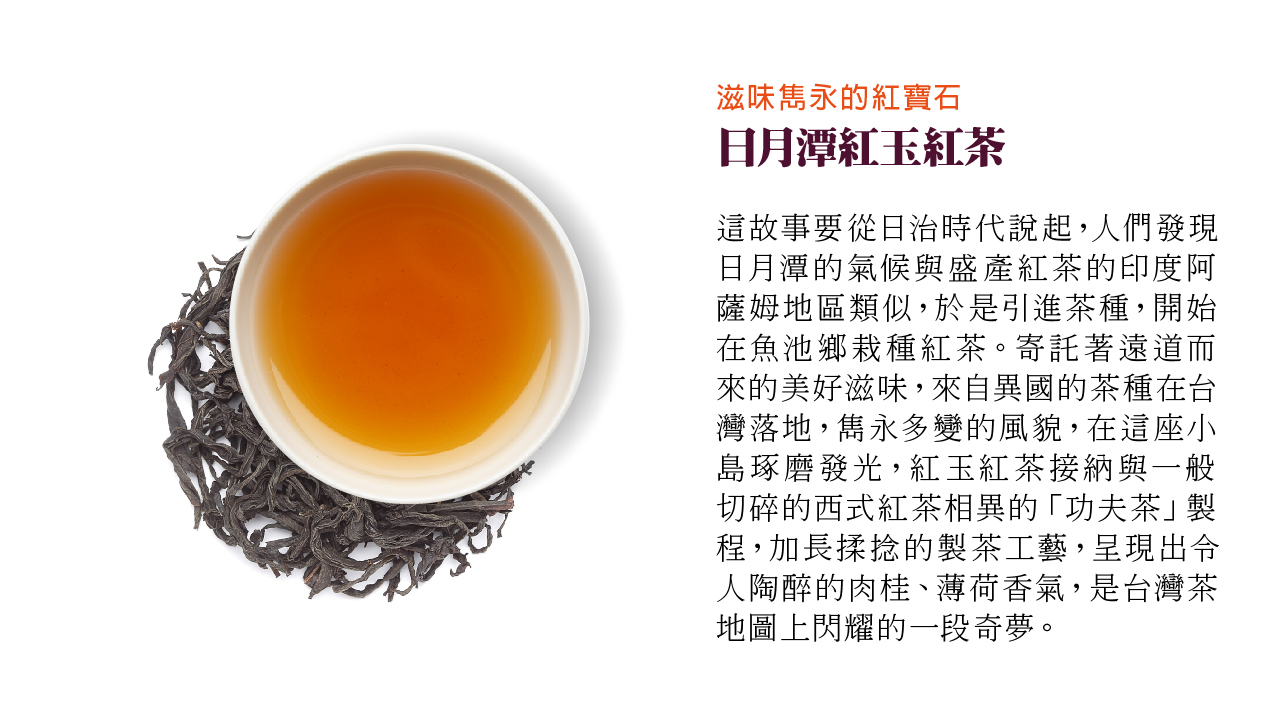 島嶼茶香的傳說-迪士尼百年慶典茶品| 王德傳茶莊 島嶼茶香的傳說-迪士尼百年慶典茶品| 王德傳茶莊