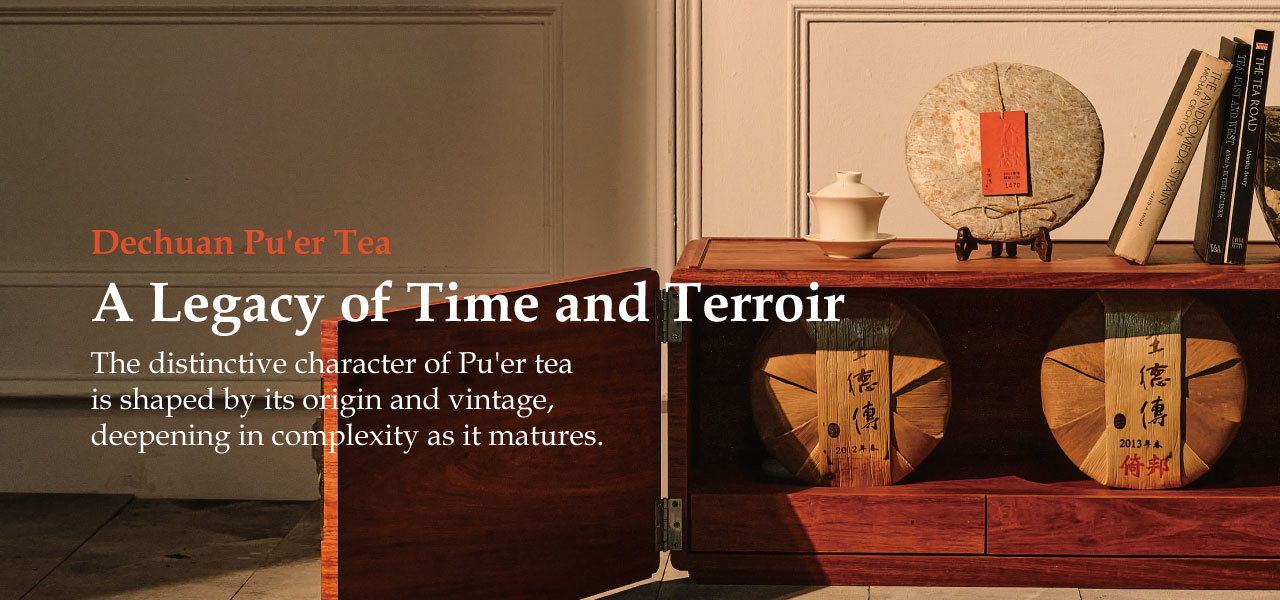 Shop for authentic Pu’erh tea at Wang De Chuan. We ship premium selections to tea lovers worldwide.
